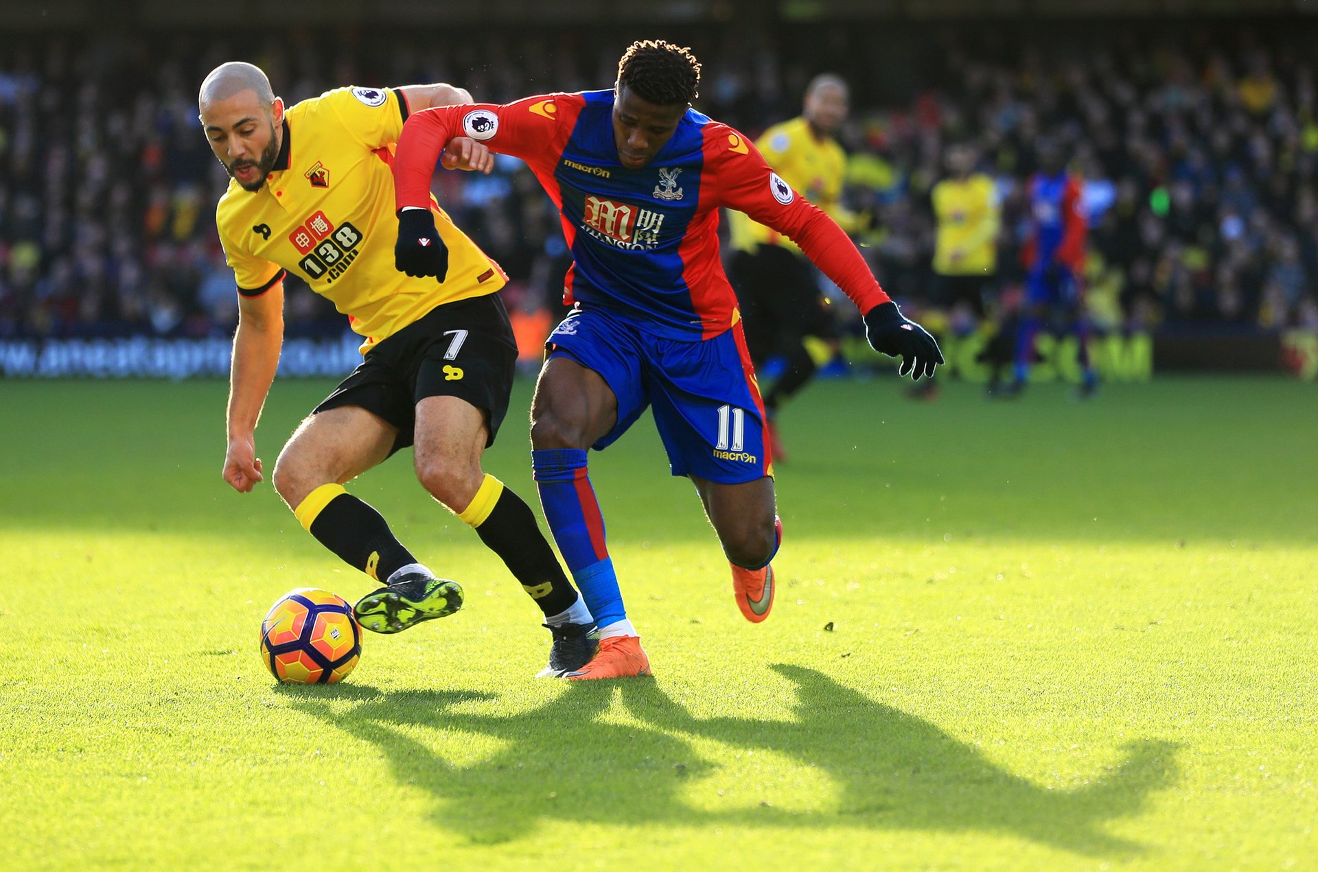 德克萨斯州 德克萨斯州